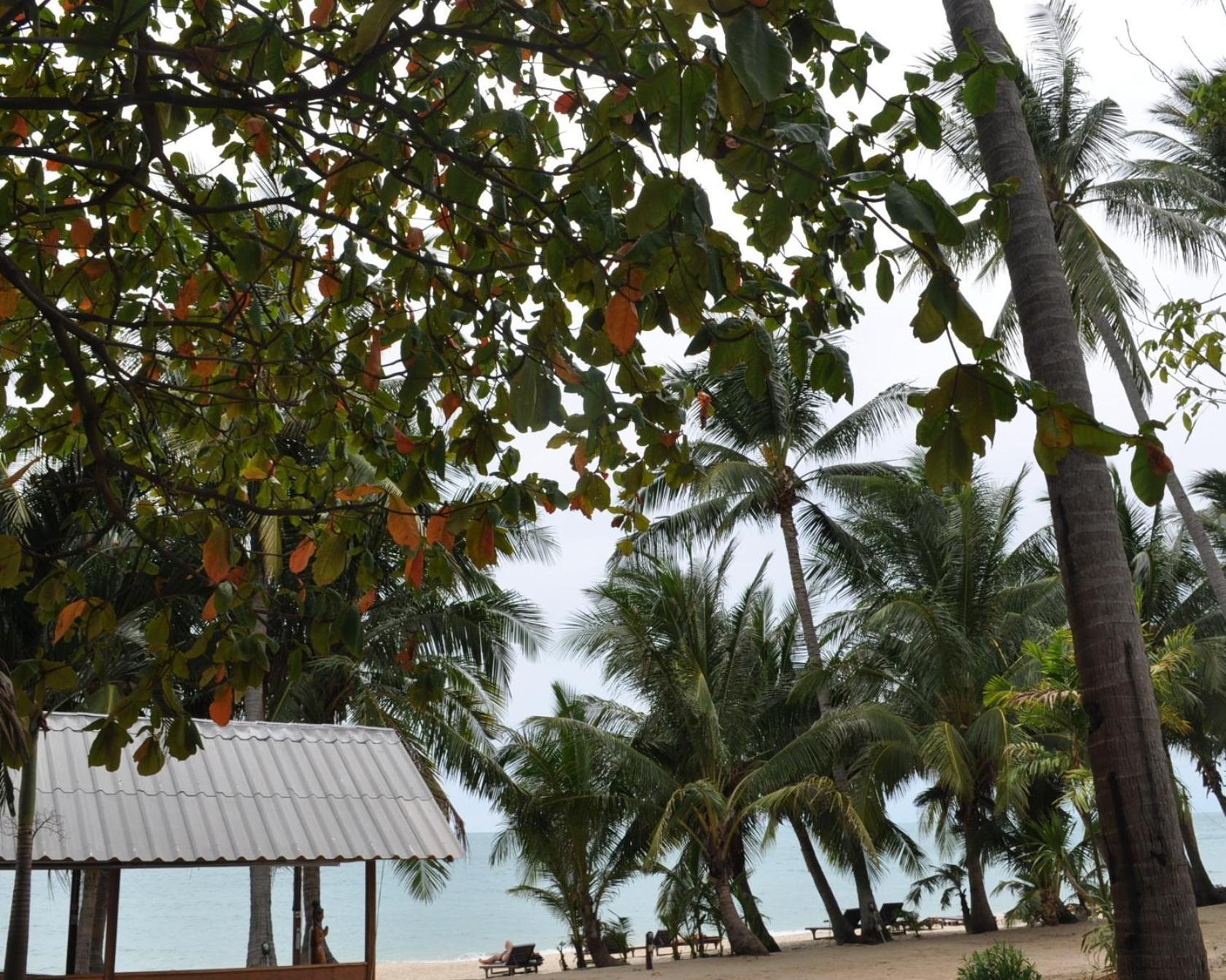 Astrococo Beach Resort By Coconut Beach Lamai Beach  Exteriör bild